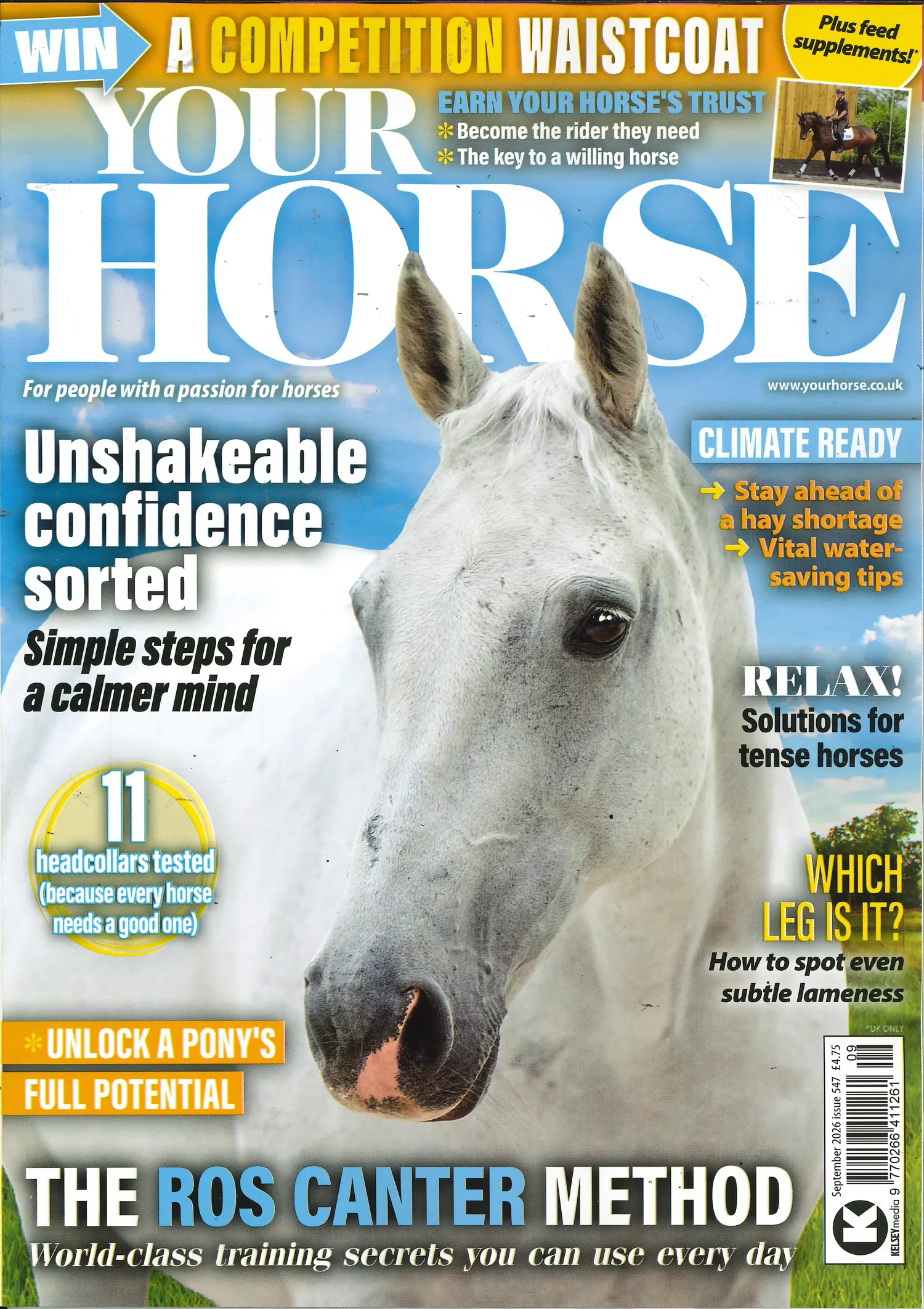 Your Horse - SEP 26