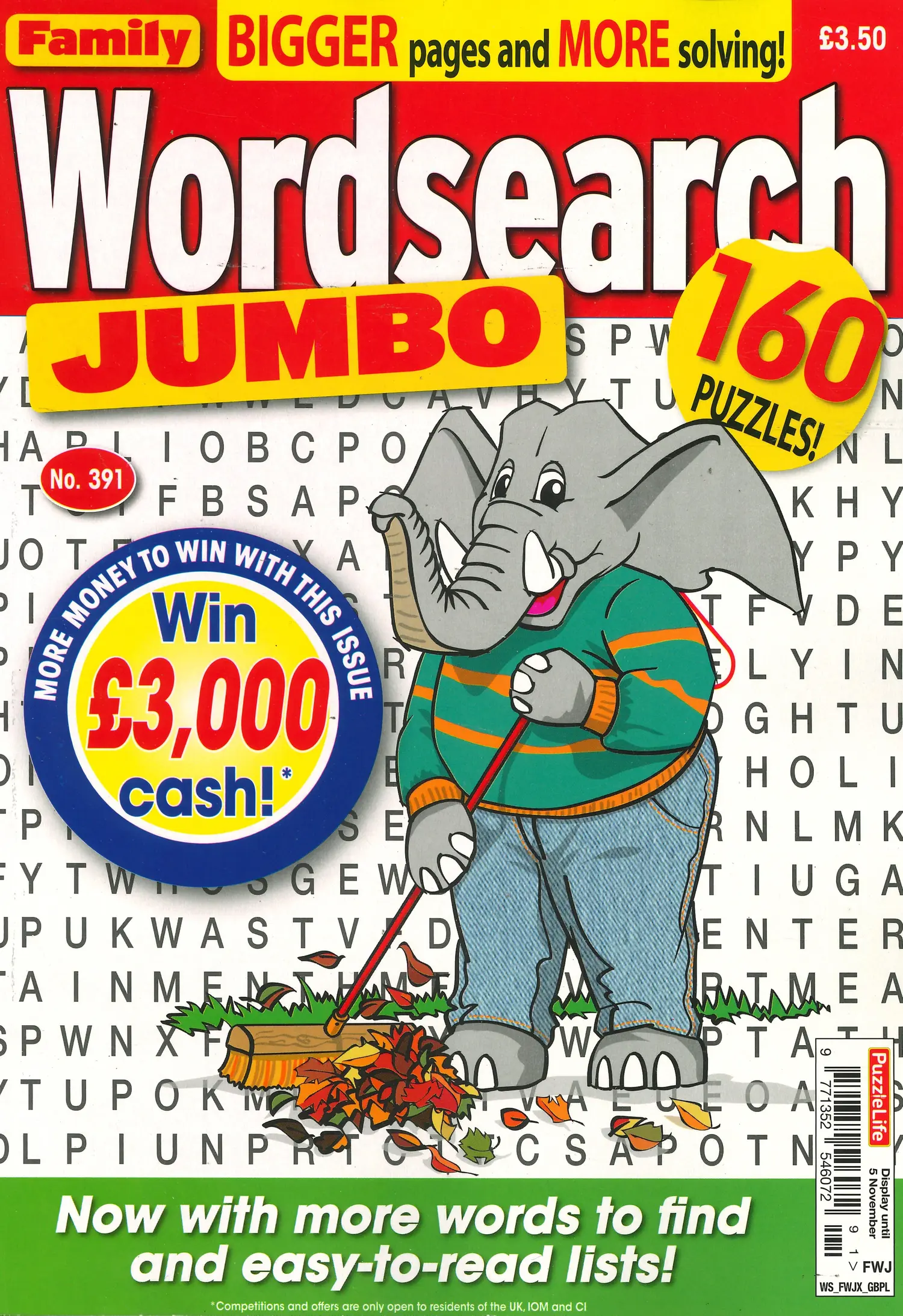 Family Wordsearch Jumbo - NO 391