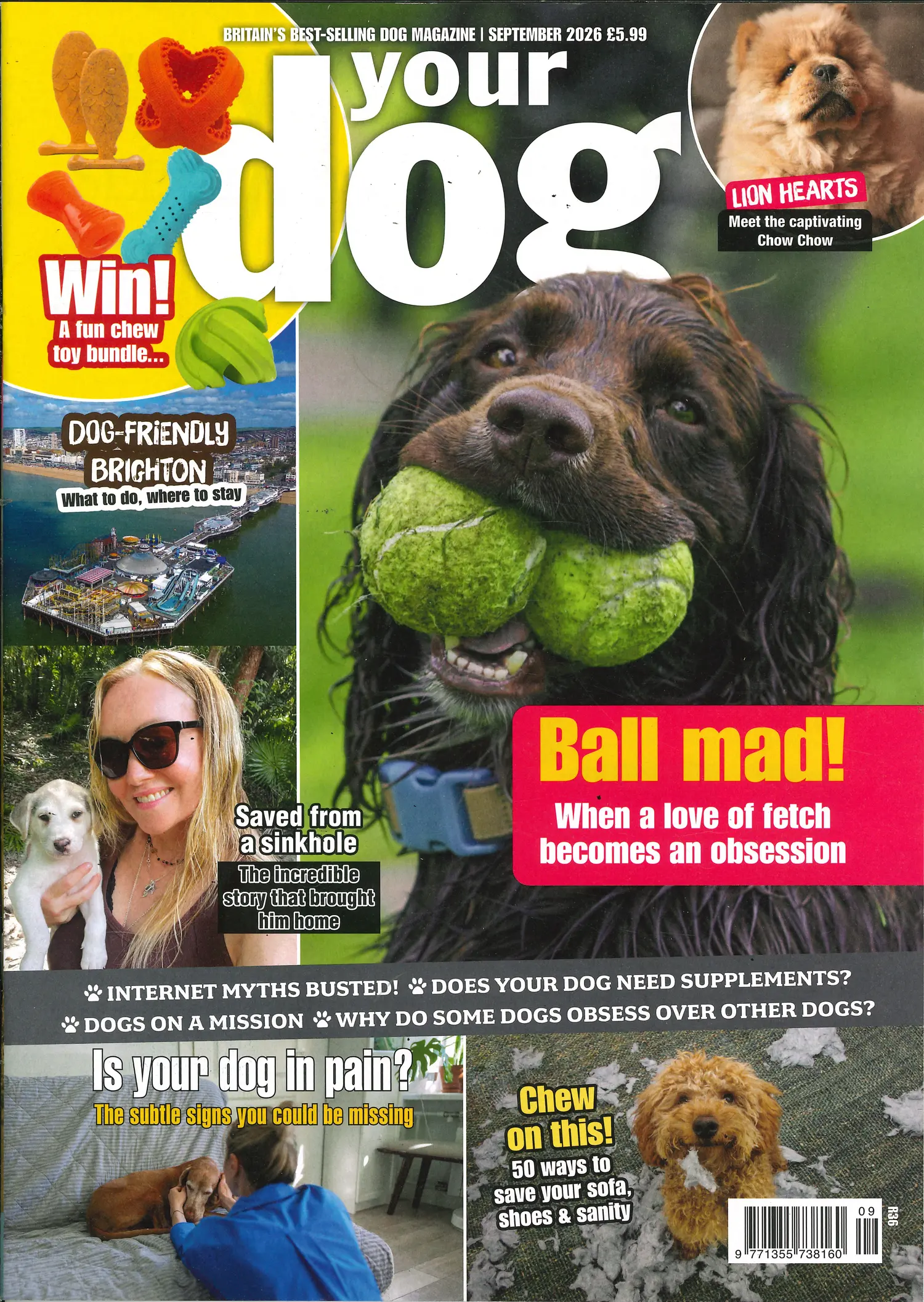 Your Dog - SEP 26