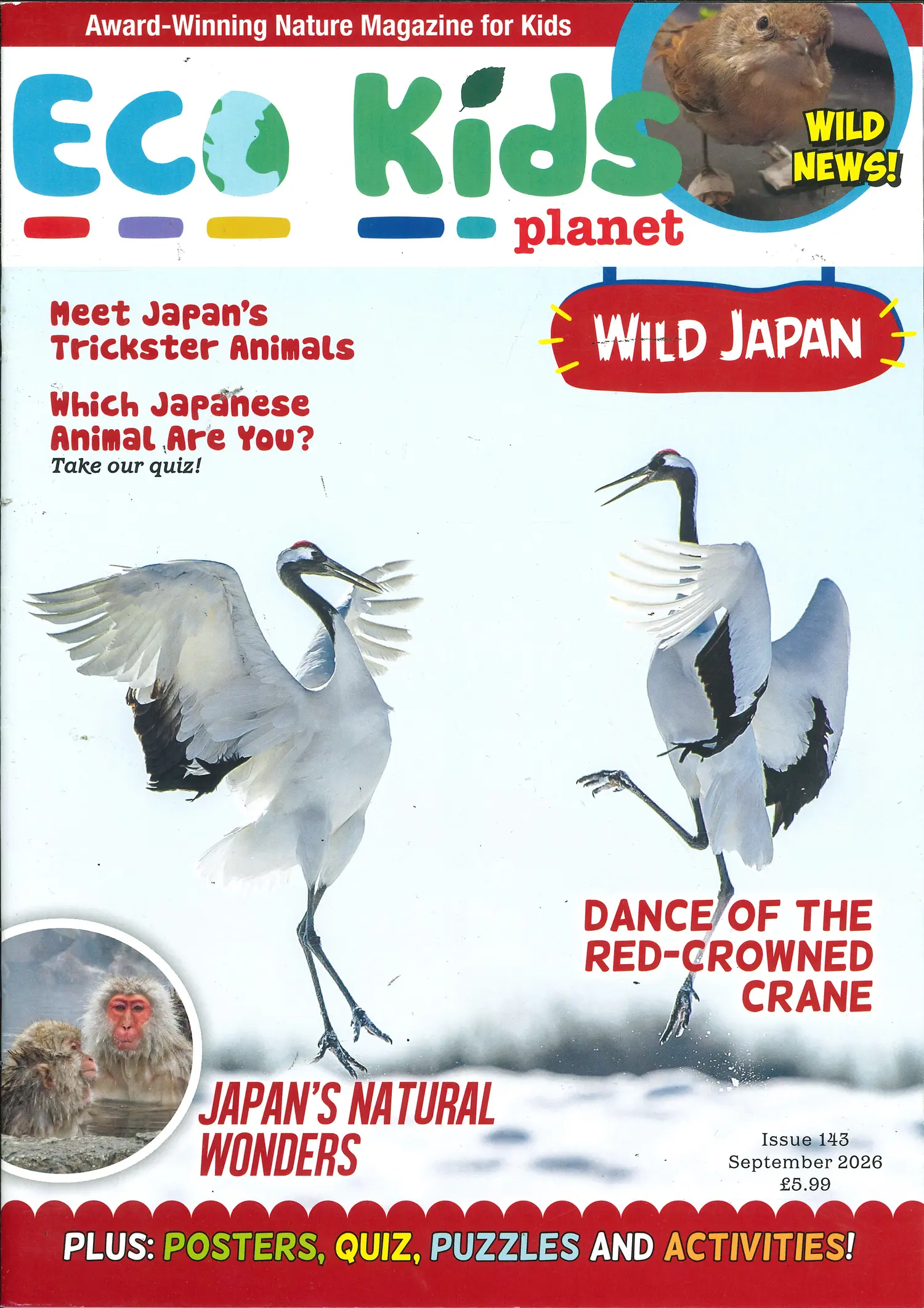 Eco Kids Planet - NO 43