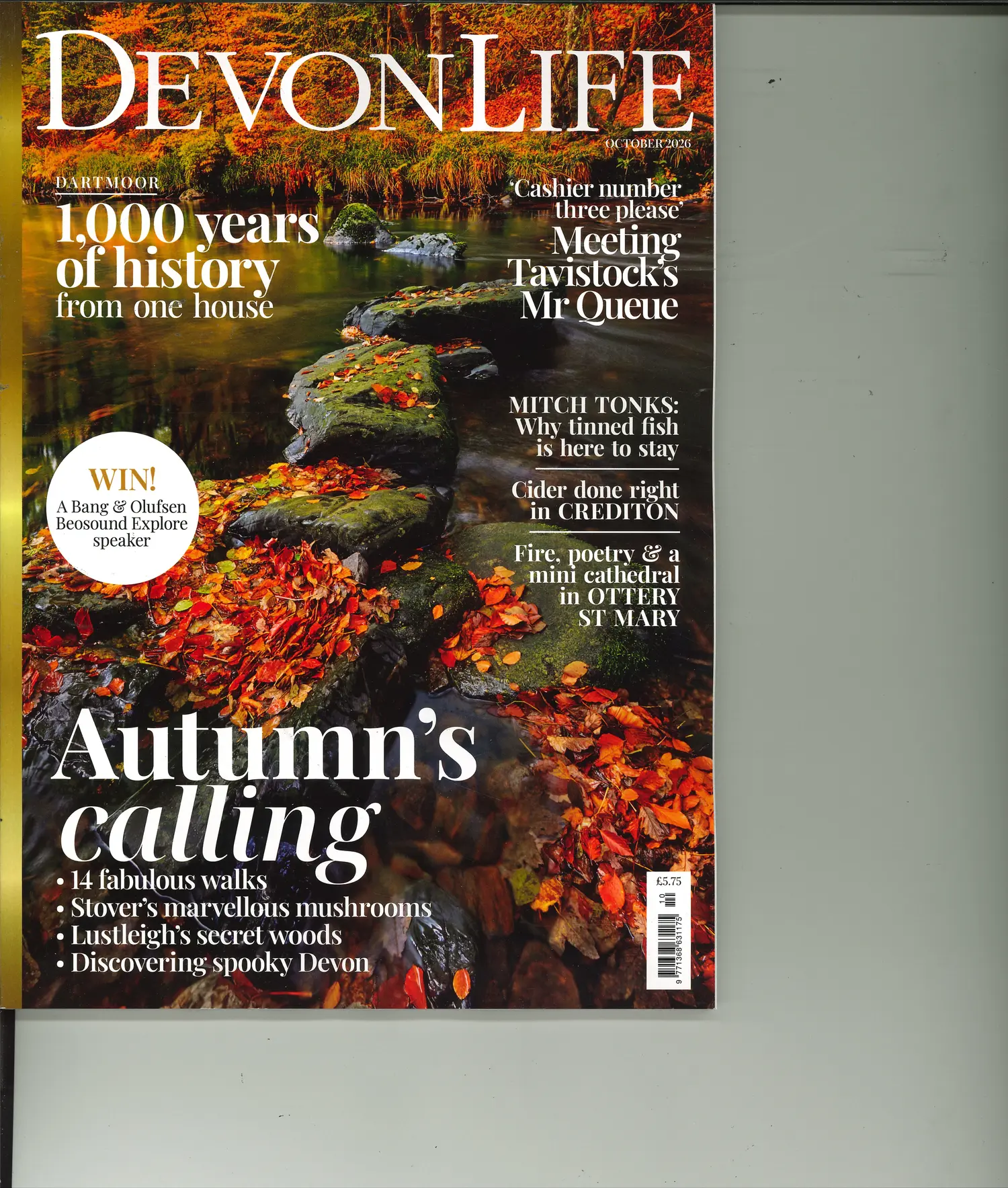 Devon Life - OCT 26
