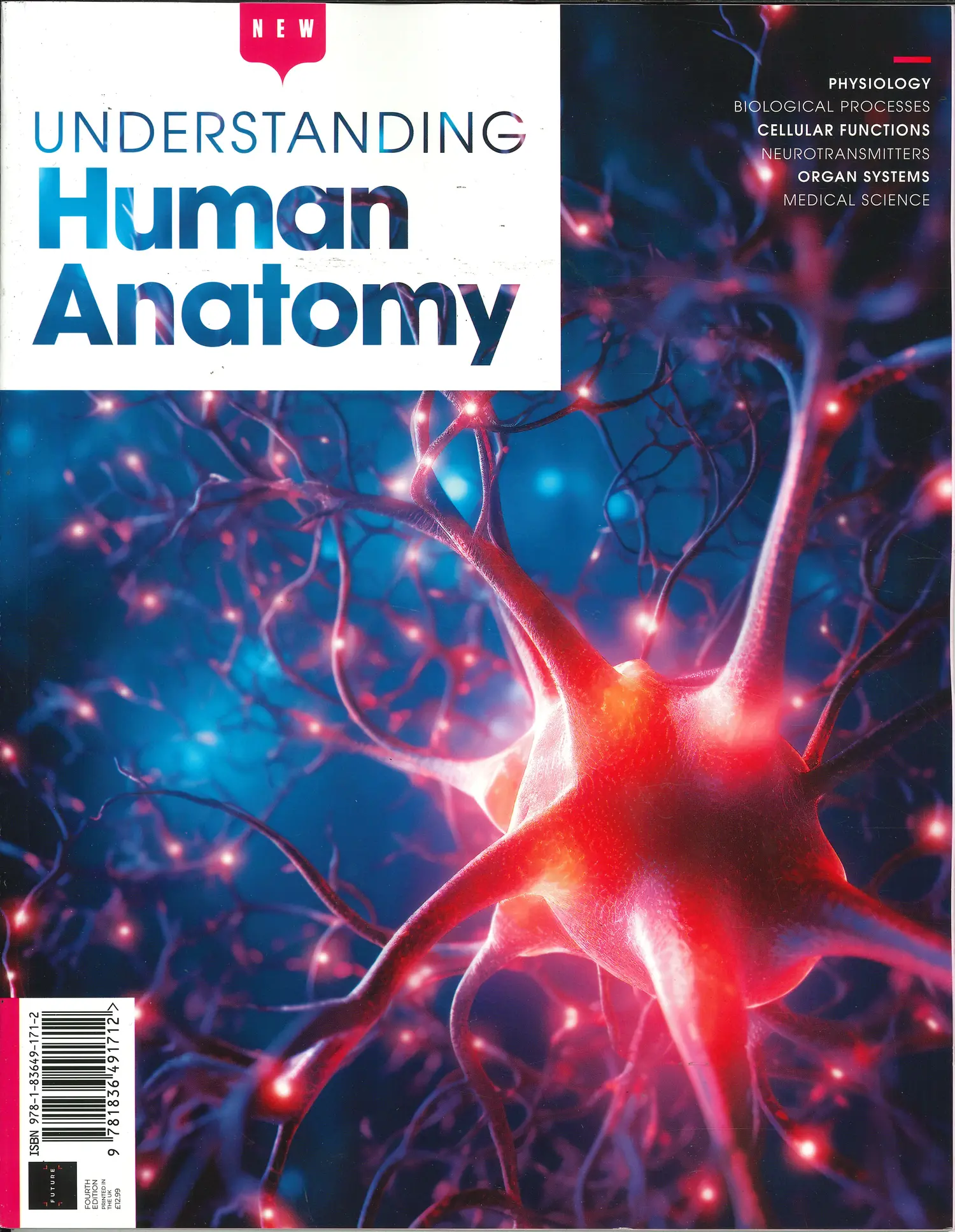 Understanding Human Anatomy - 01