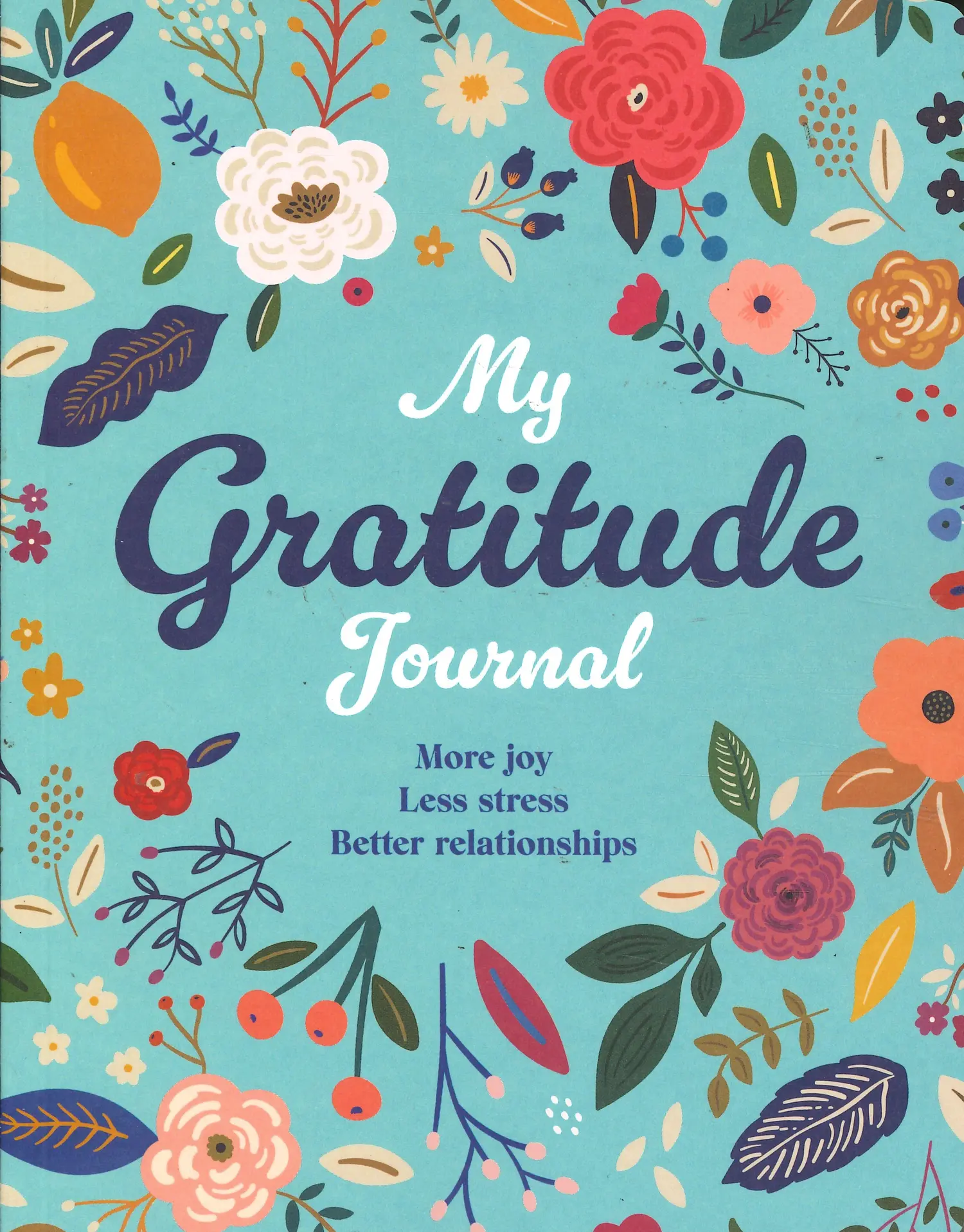My Gratitude Journal - 01