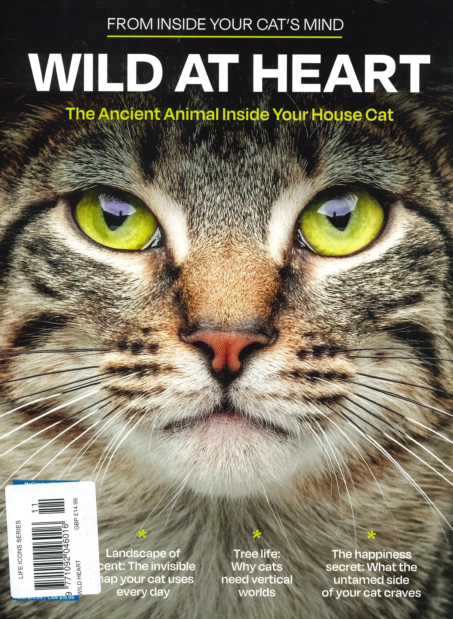 From In Side Your Cats Mind - 01