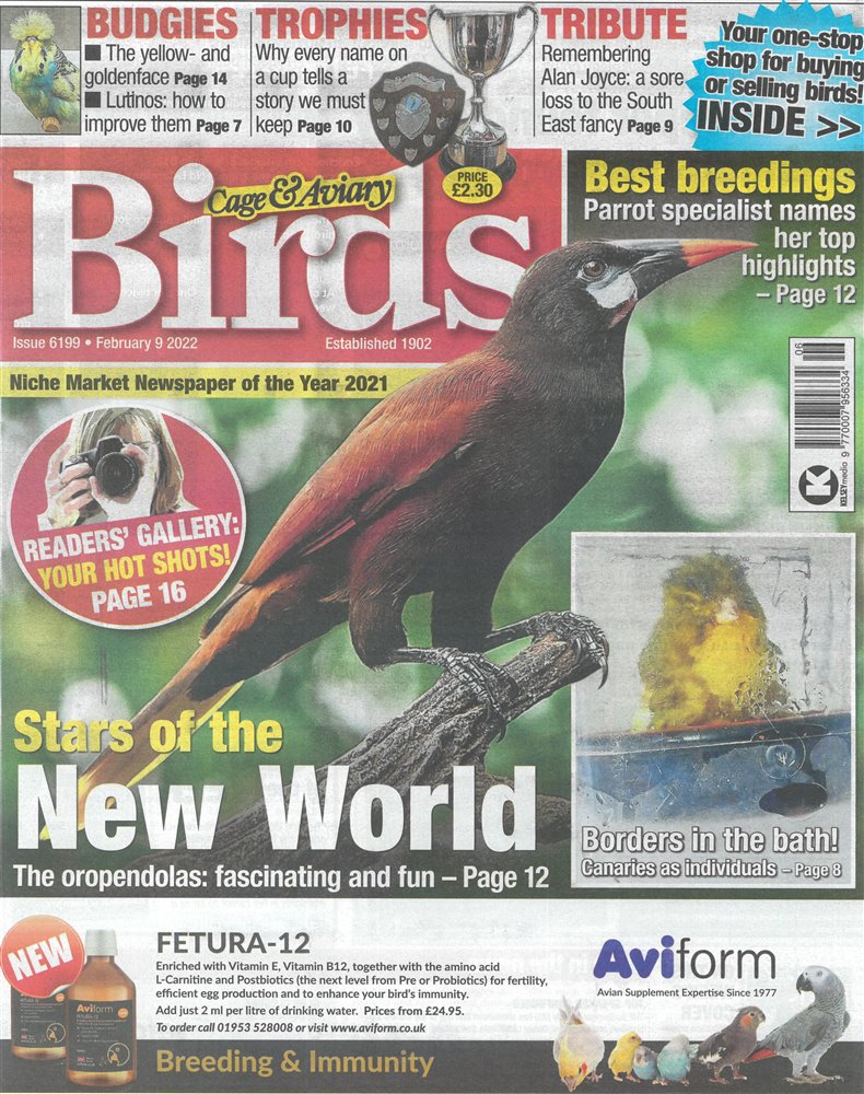 Cage and Aviary Birds Magazine Issue 09/02/2022