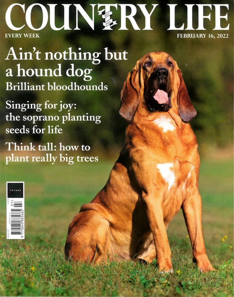 Country Life Magazine Issue 16/02/2022