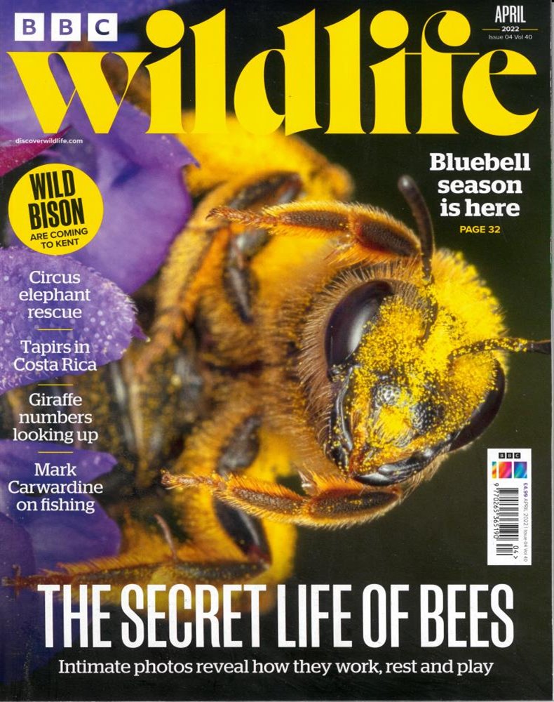 BBC Wildlife Magazine Issue APR 22
