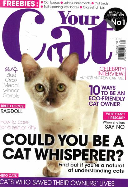 Your Cat magazine