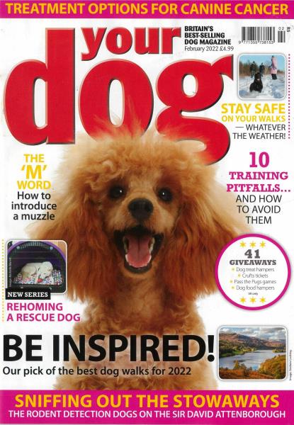 Your Dog Magazine