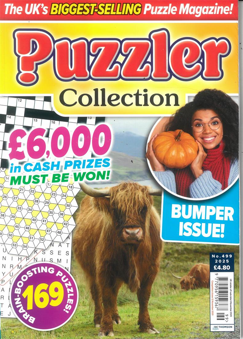 Puzzler Collection - NO 499