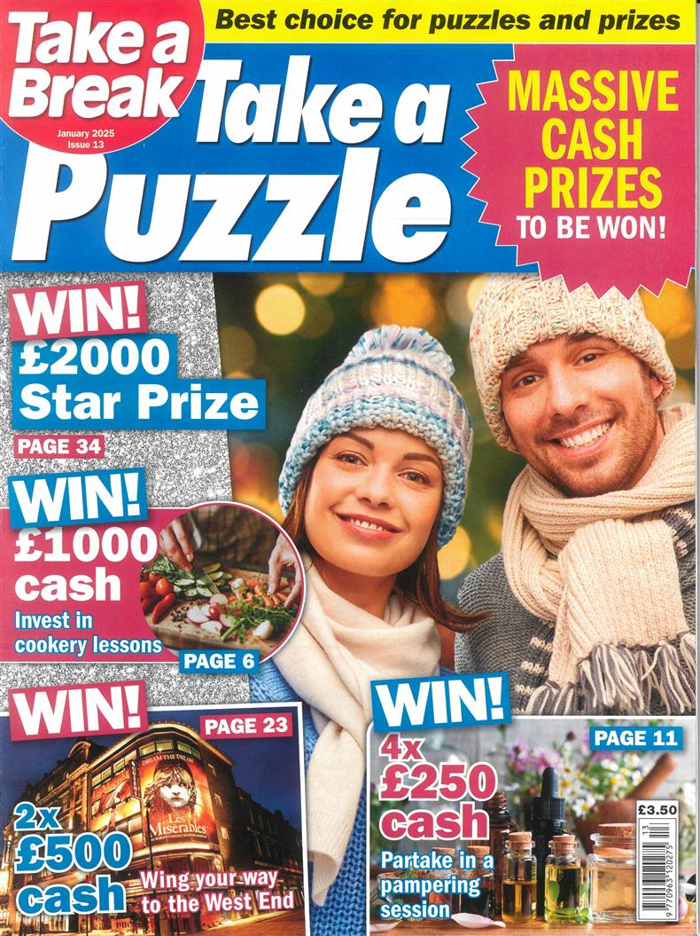 Take a Puzzle - NO 13