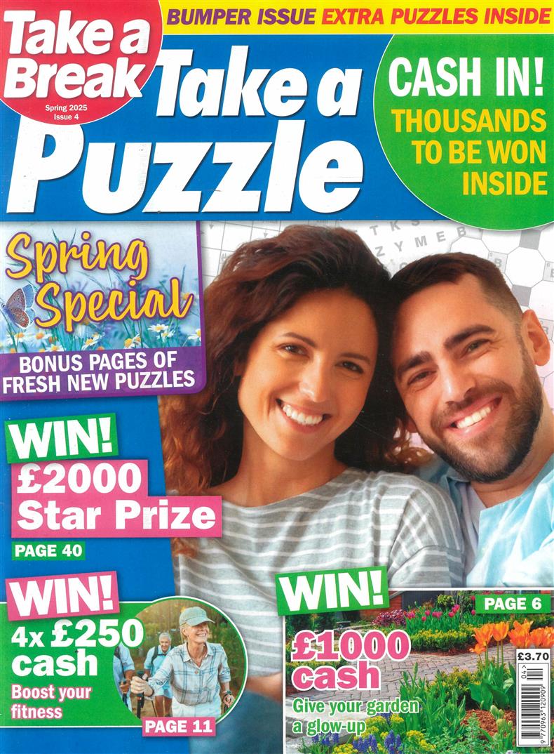 Take a Puzzle - NO 4