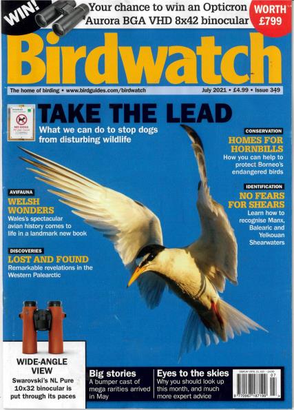 Birdwatch magazine
