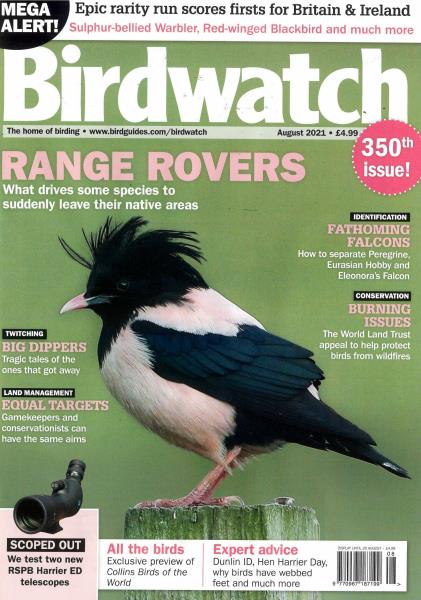 Birdwatch magazine