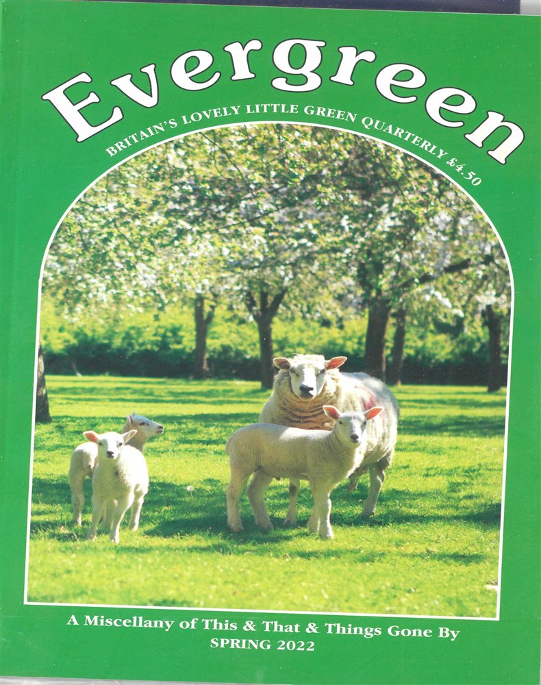Evergreen Magazine Issue SPRING