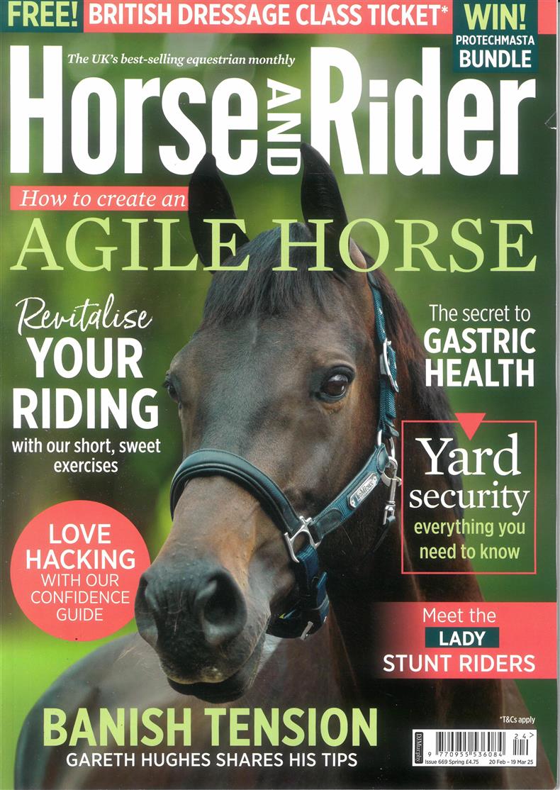 Horse and Rider - SPRING