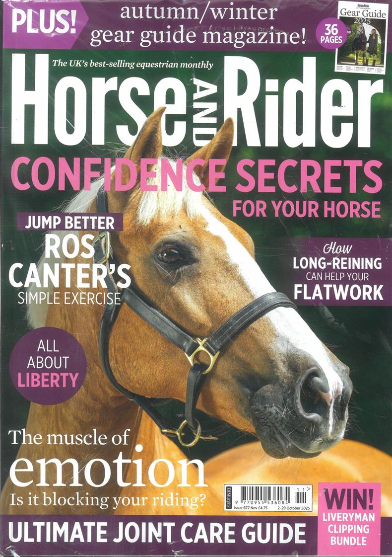 Horse and Rider - NOV 25