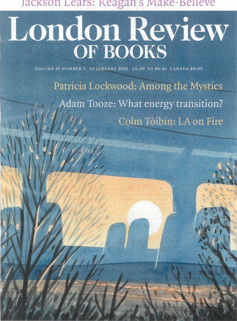 London Review of Books - VOL47/1