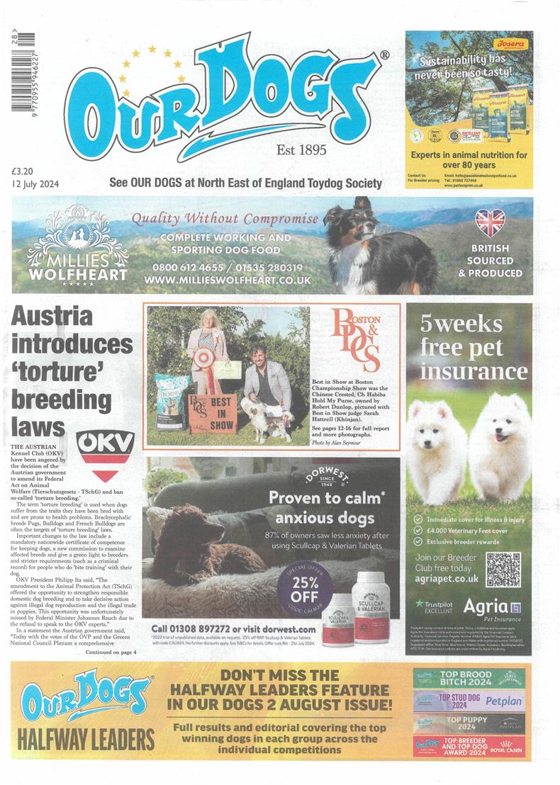 Our Dogs - 12/07/2024