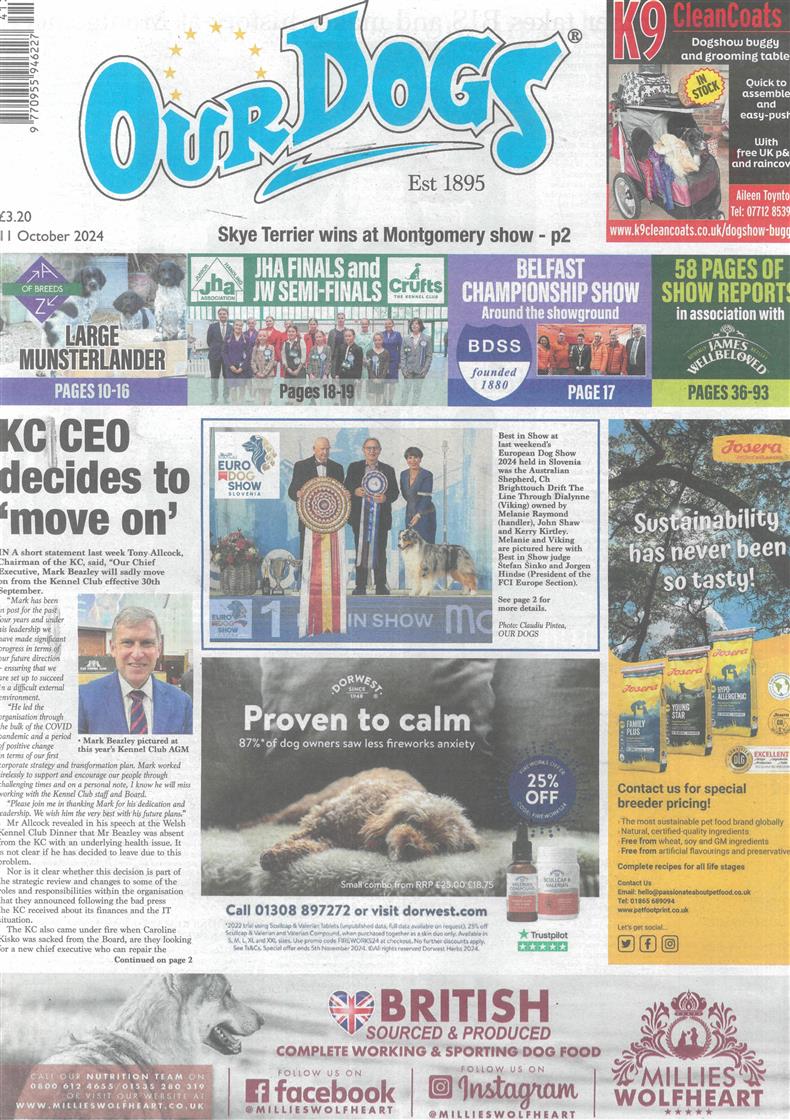 Our Dogs - 11/10/2024