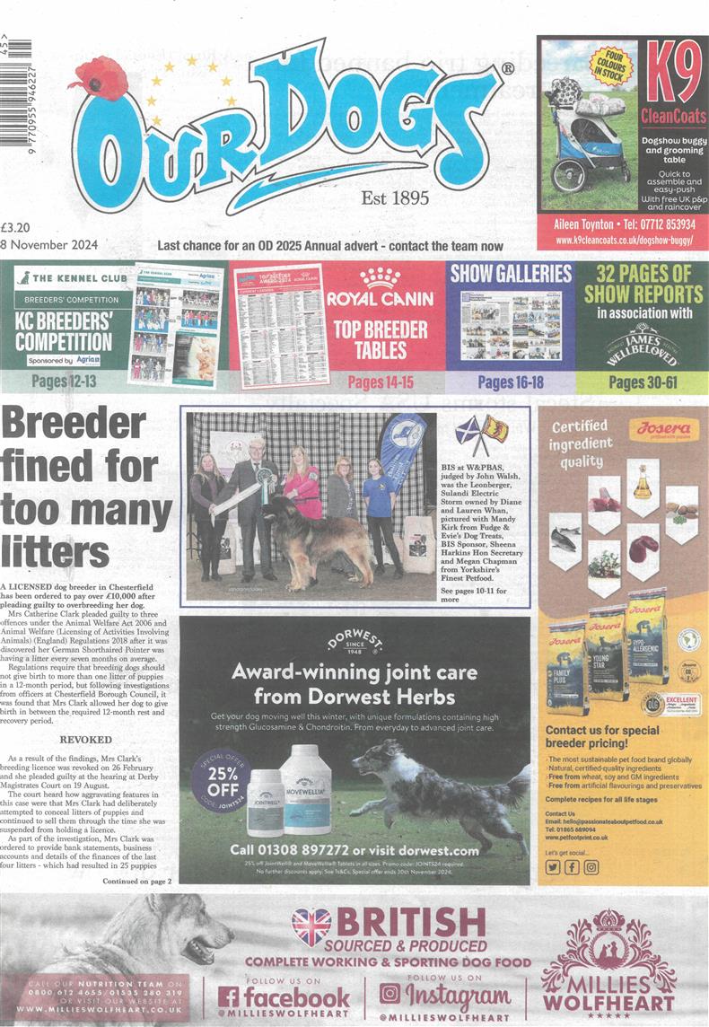 Our Dogs - 08/11/2024