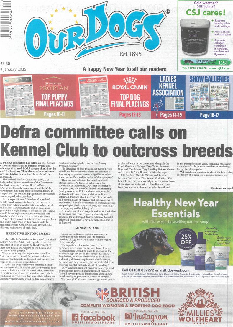 Our Dogs - 03/01/2025