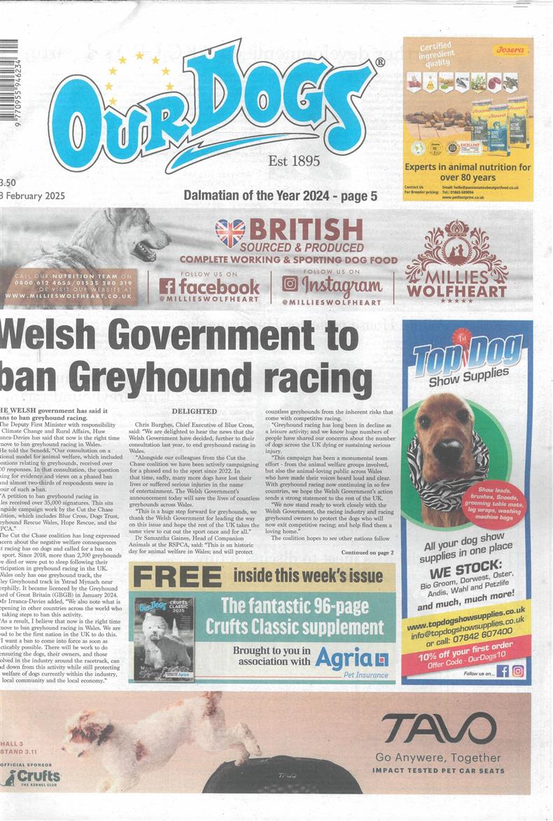 Our Dogs - 28/02/2025