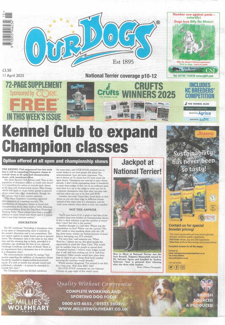 Our Dogs - 11/04/2025