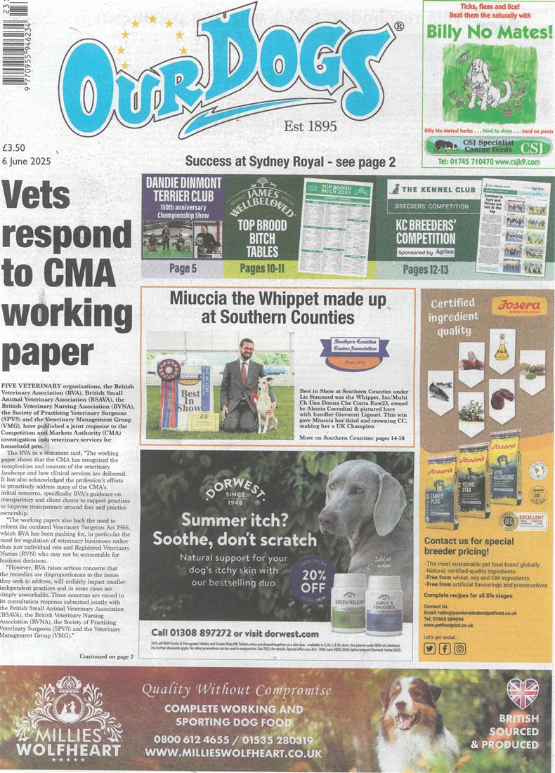 Our Dogs - 06/06/2025