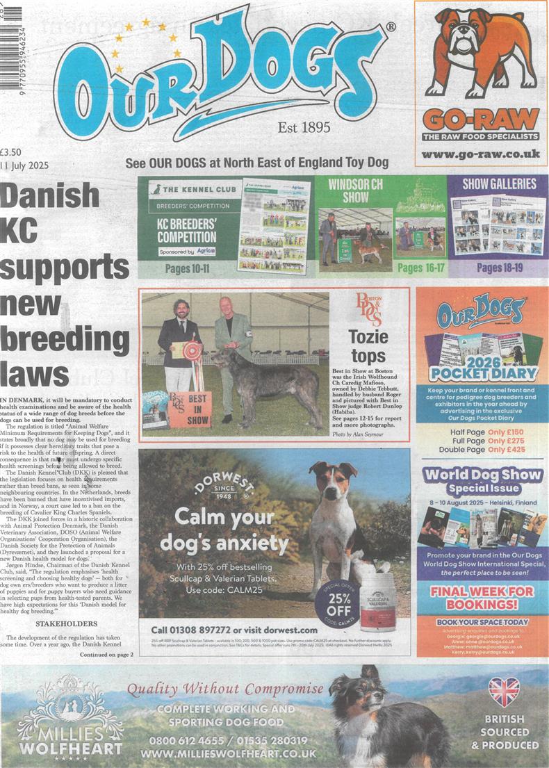 Our Dogs - 11/07/2025