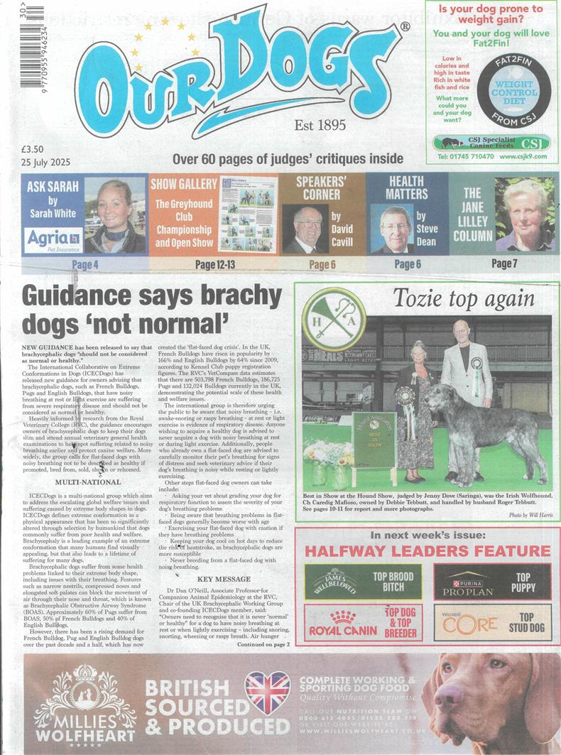 Our Dogs - 25/07/2025