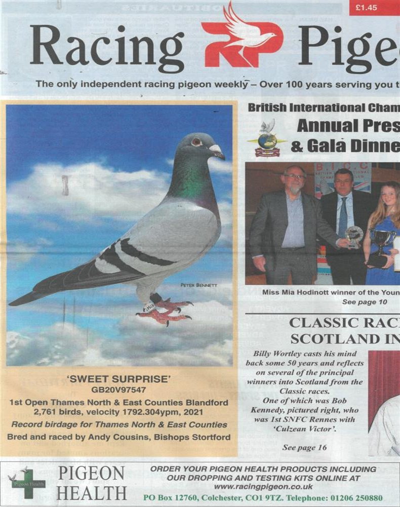 Racing Pigeon Magazine Issue 08/04/2022