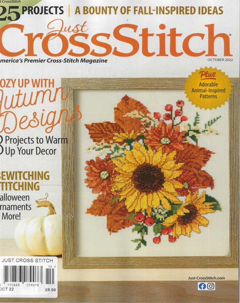 Just Cross Stitch Magazine Subscription