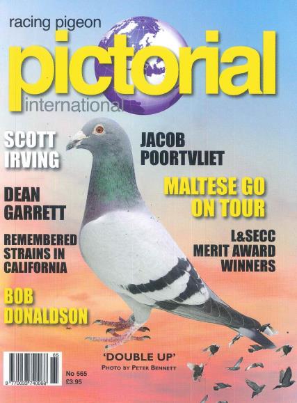 picktorial subscription picktorial subscription