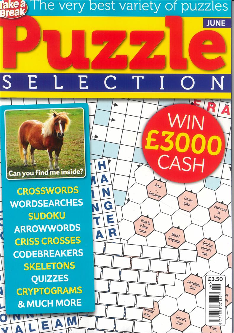 Take a Break Puzzle Selection - NO 6