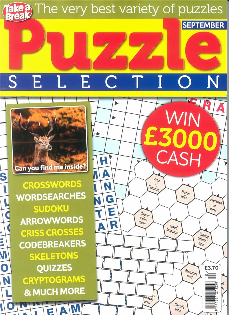 Take a Break Puzzle Selection - NO 10