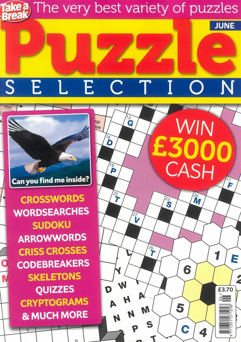 Take a Break Puzzle Selection - NO 6