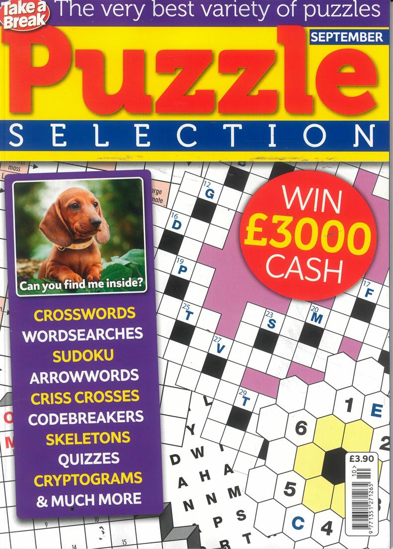 Take a Break Puzzle Selection - NO 10