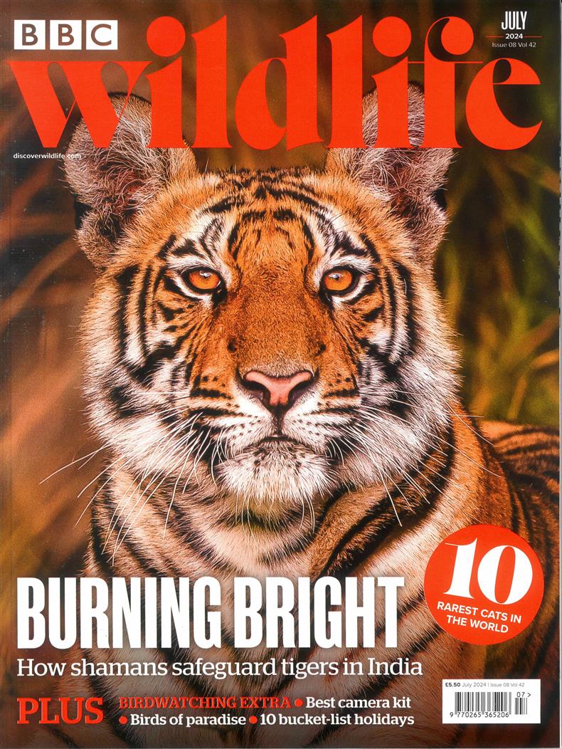 BBC Wildlife - JUL 24