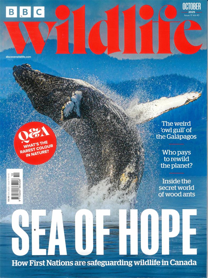 BBC Wildlife - OCT 25