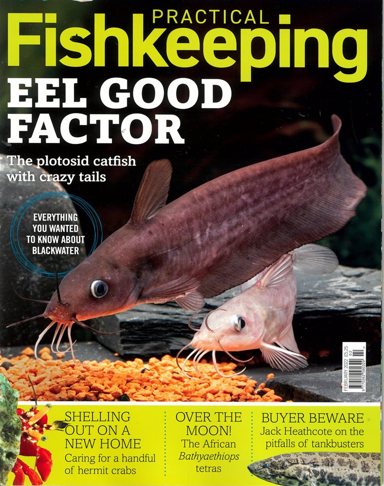 Practical Fishkeeping Magazine Issue FEB 22