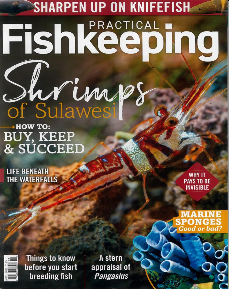 Practical Fishkeeping Magazine Issue APR 22