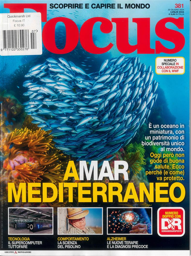 Focus Italian - NO 381