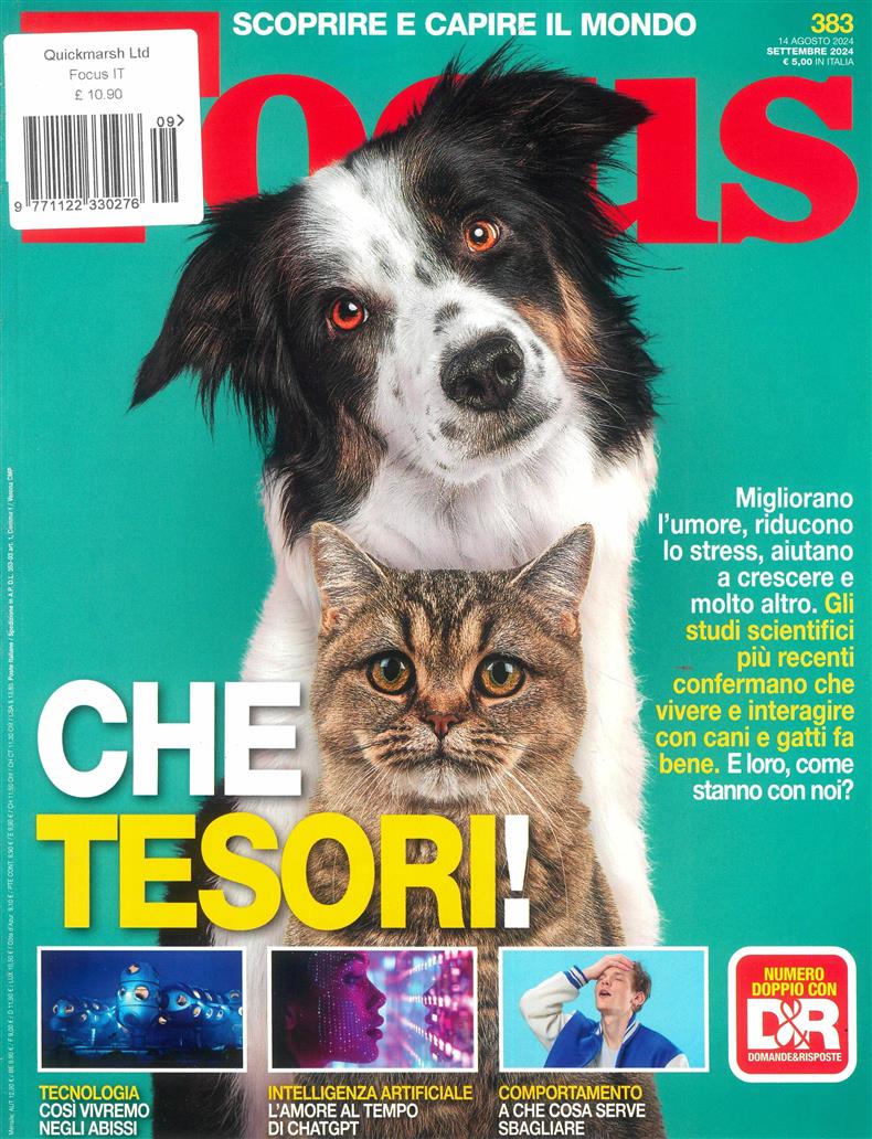 Focus Italian - NO 383