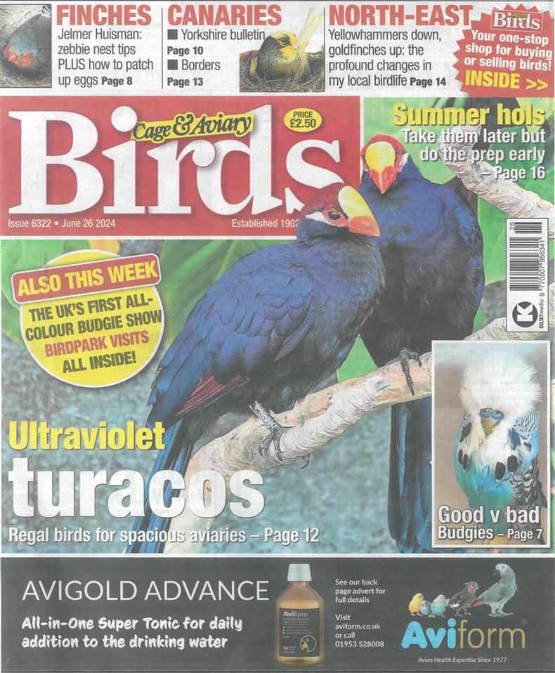 Cage and Aviary Birds - 26/06/2024