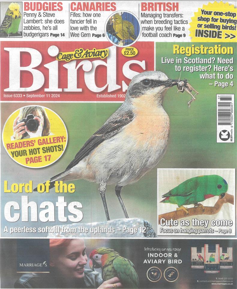 Cage and Aviary Birds - 11/09/2024