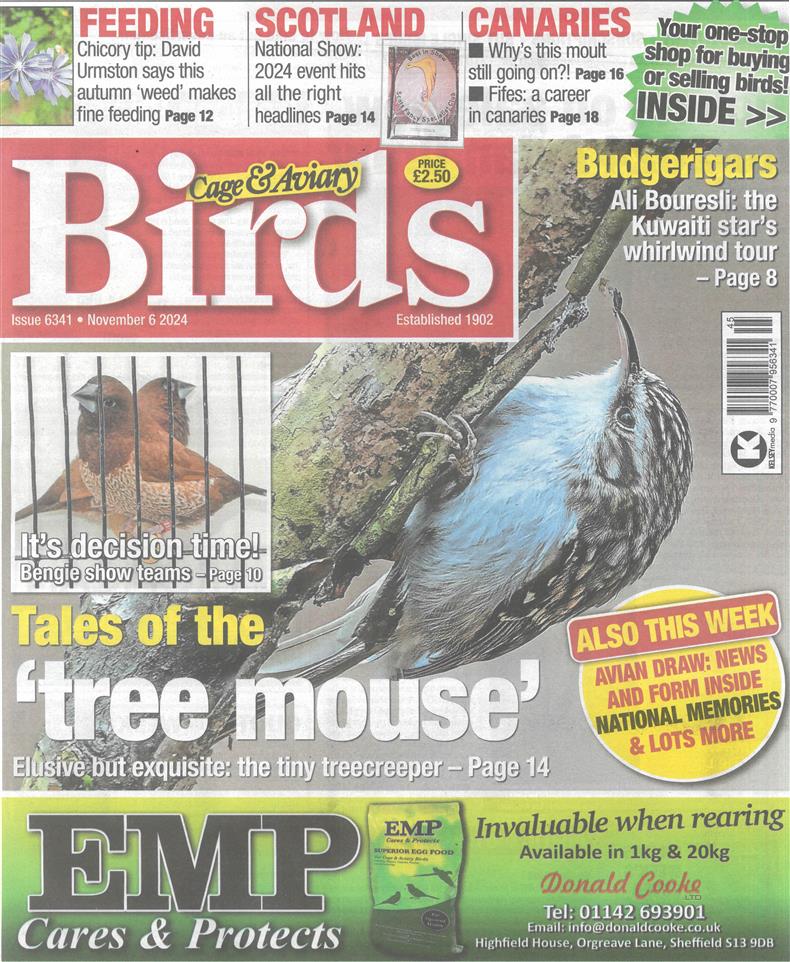 Cage and Aviary Birds - 06/11/2024