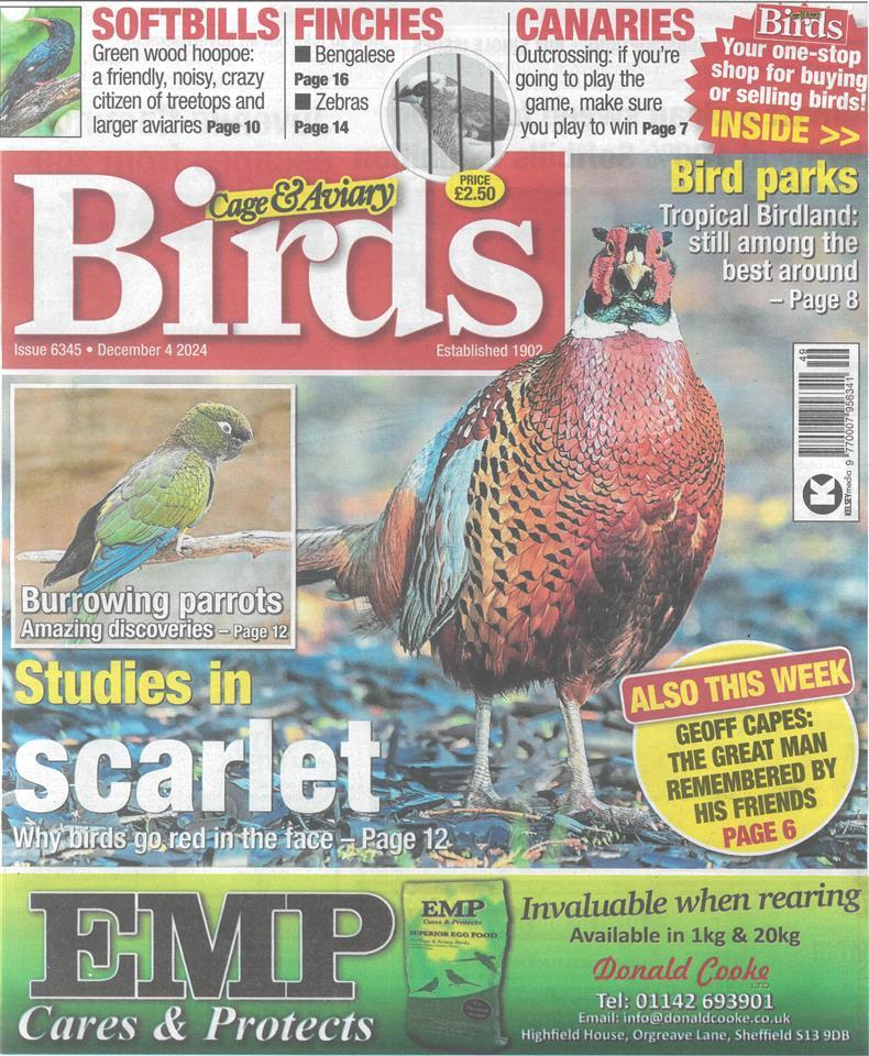 Cage and Aviary Birds - 04/12/2024