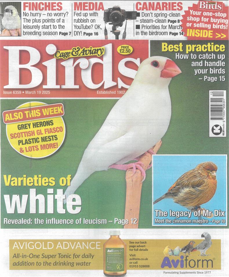 Cage and Aviary Birds - 19/03/2025