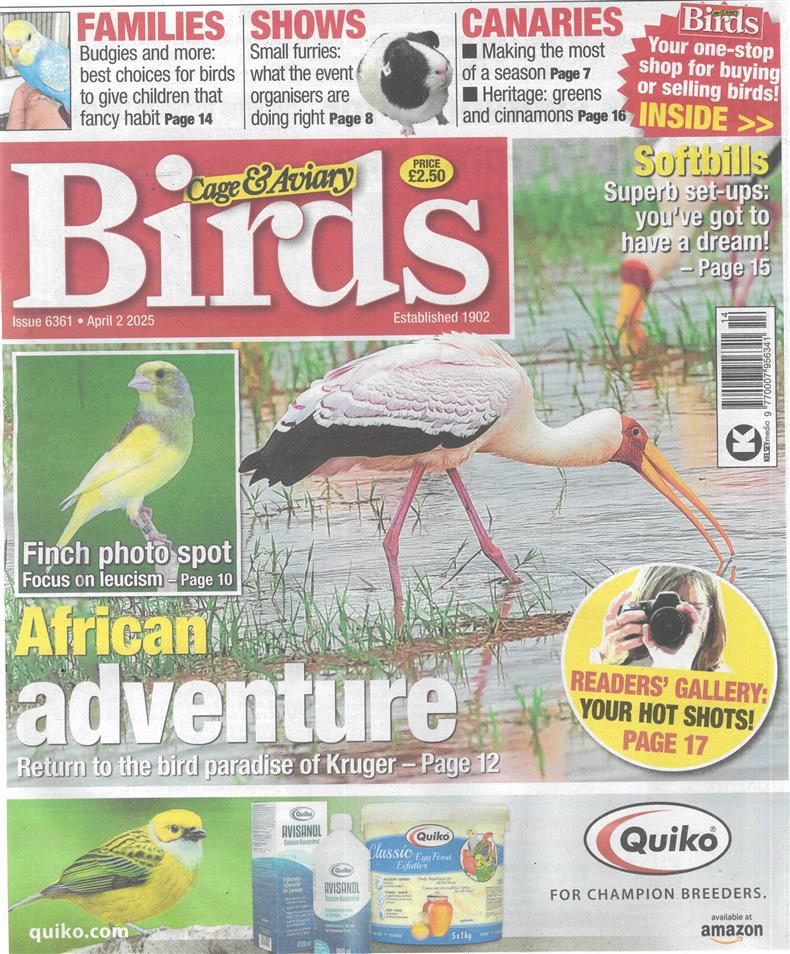 Cage and Aviary Birds - 02/04/2025